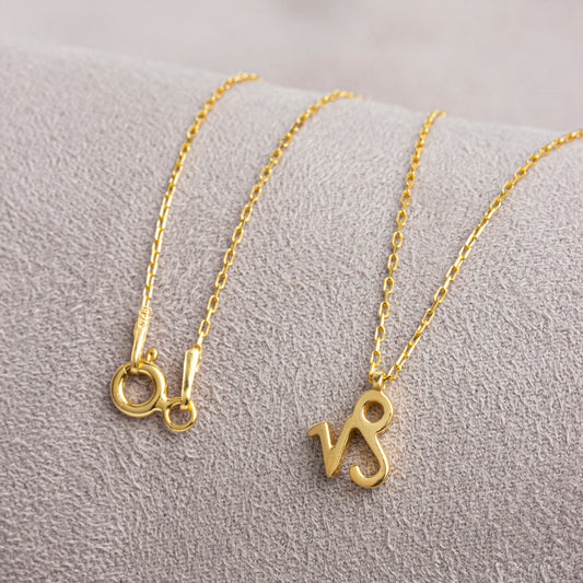 Capricorn Zodiac Sign in 14K Solid Gold Necklace | Minimalist Horoscope Symbol