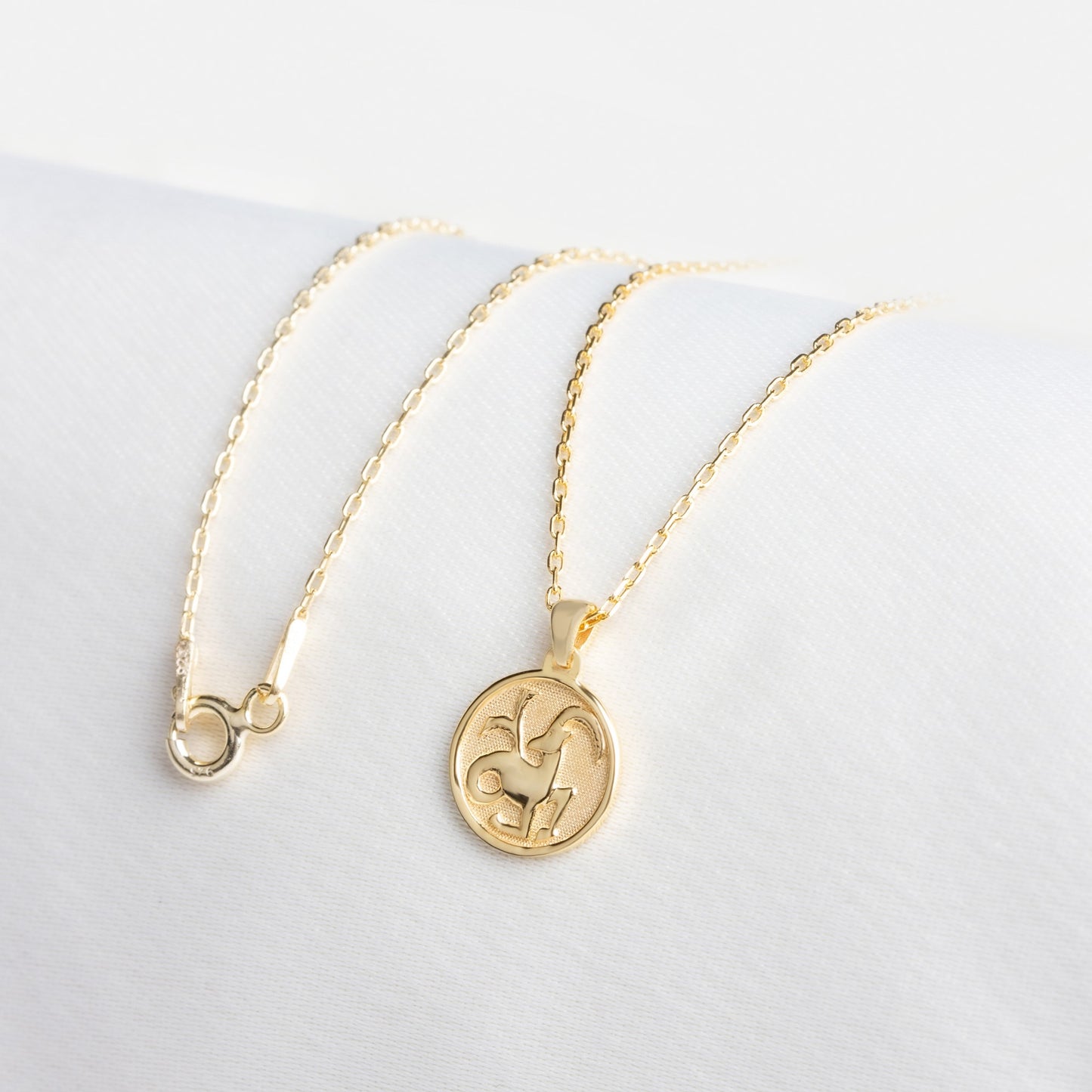 Capricorn Zodiac Necklace in 14K Solid Gold | Astrological Pendant